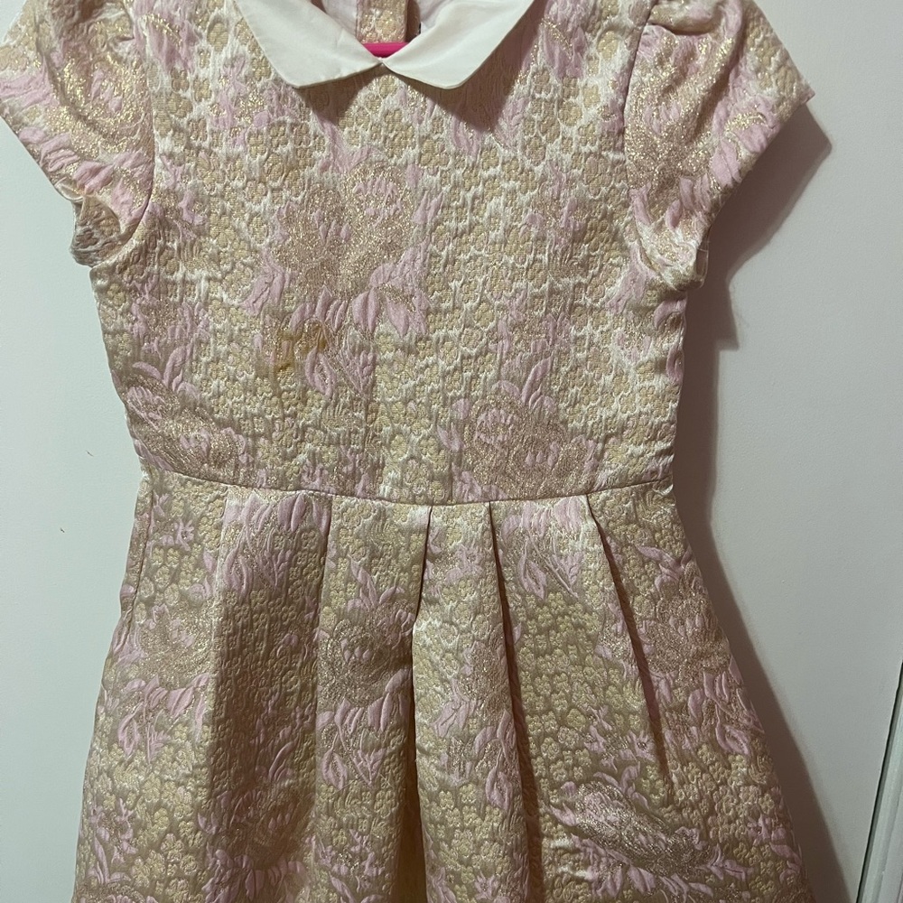 Janie and jack embroidered dress